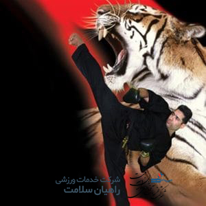 باشگاه رزمی تایگر مراغه