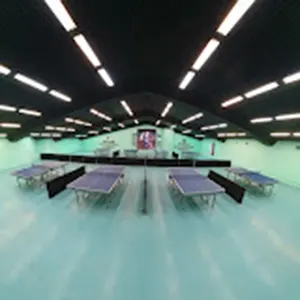 باشگاه پینگپنگ سبز ولنجک