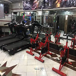 باشگاه ورزشی پارسیان کرمان