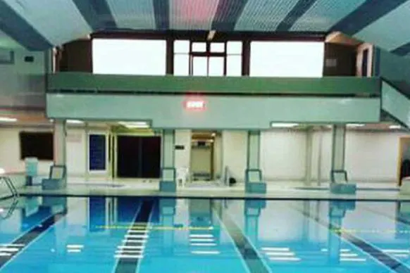 دلفین فردیس